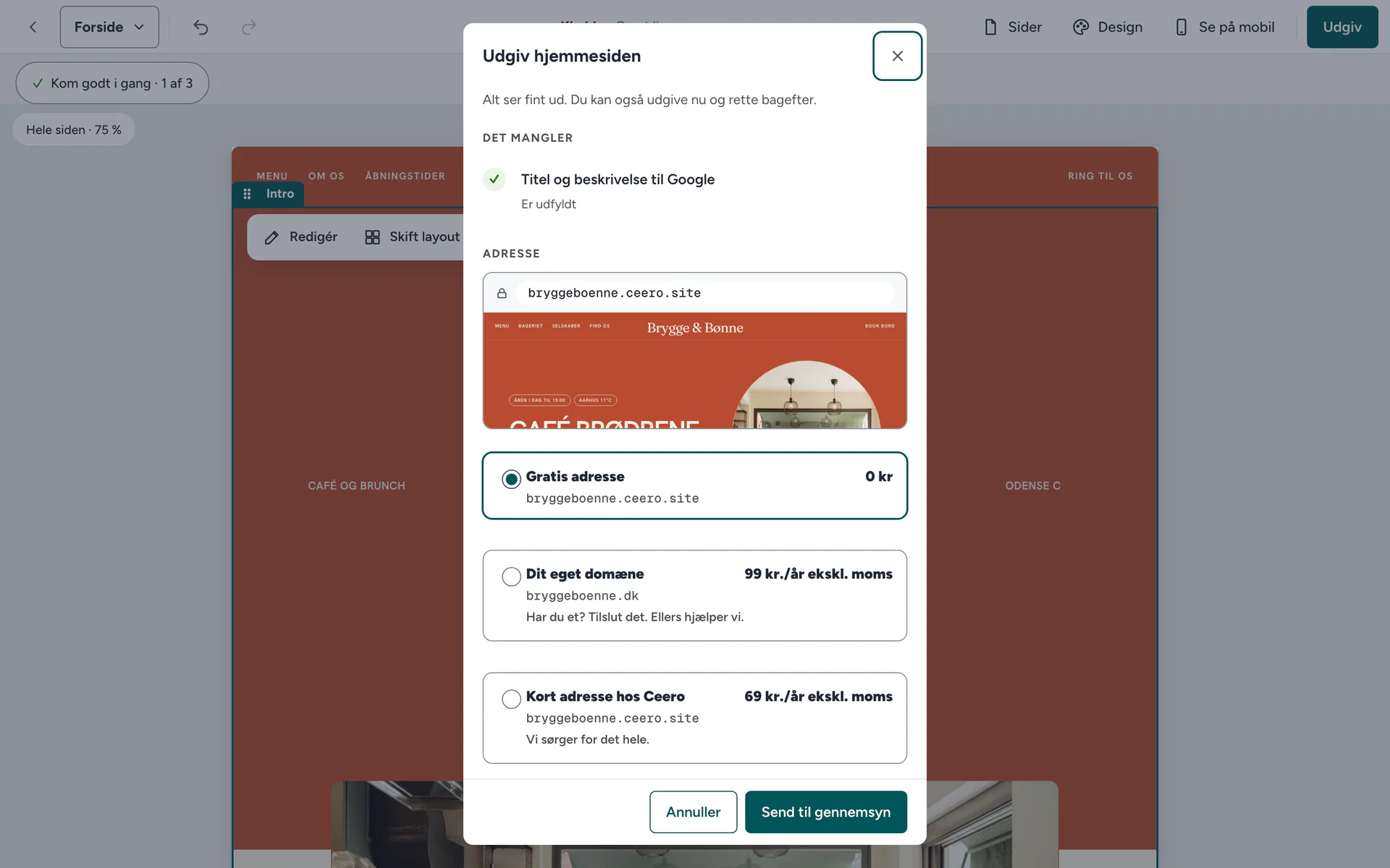 Editoren: vinduet Udgiv hjemmesiden med valg af adresse, gratis, eget domæne eller kort adresse